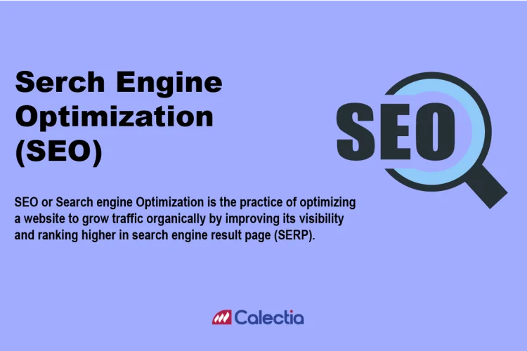 Definition of SEO